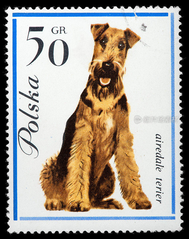 Airedale Terier狗复古邮票